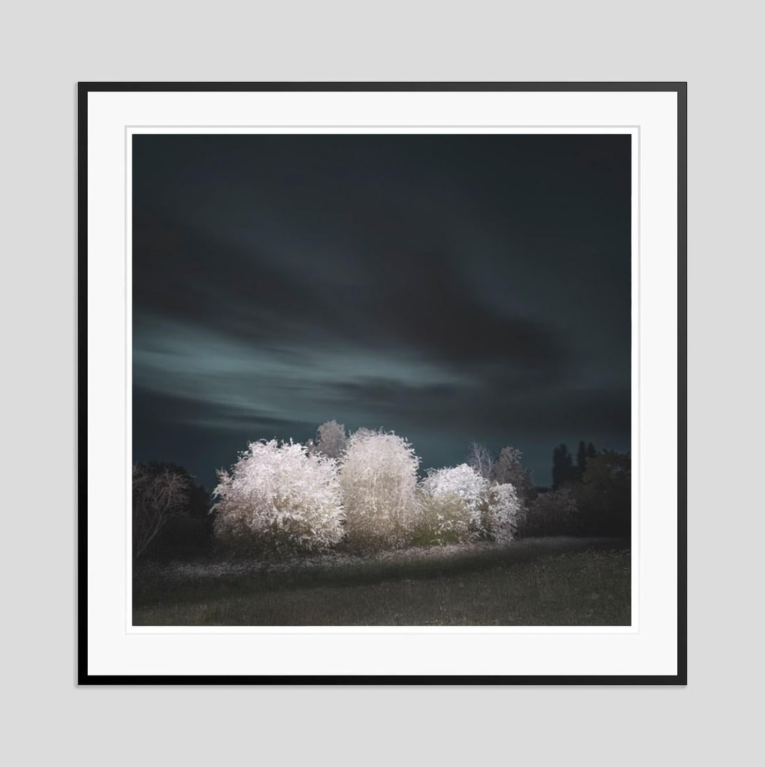 Hawthorn By Justin Pumfrey: 2023 - 10