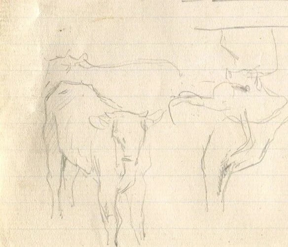 Cows and Cattle Drawing Vintage Pencil Original Sketch Artwork: Title: Cows and Cattle Drawing Vintage Pencil Original Sketch Artwork Description: Vintage Pencil Drawing Cows and Cattle Original Sketch Pencil on paper (double-sided) 9.5 x 15 cm / 3.74 x 5.90 inche