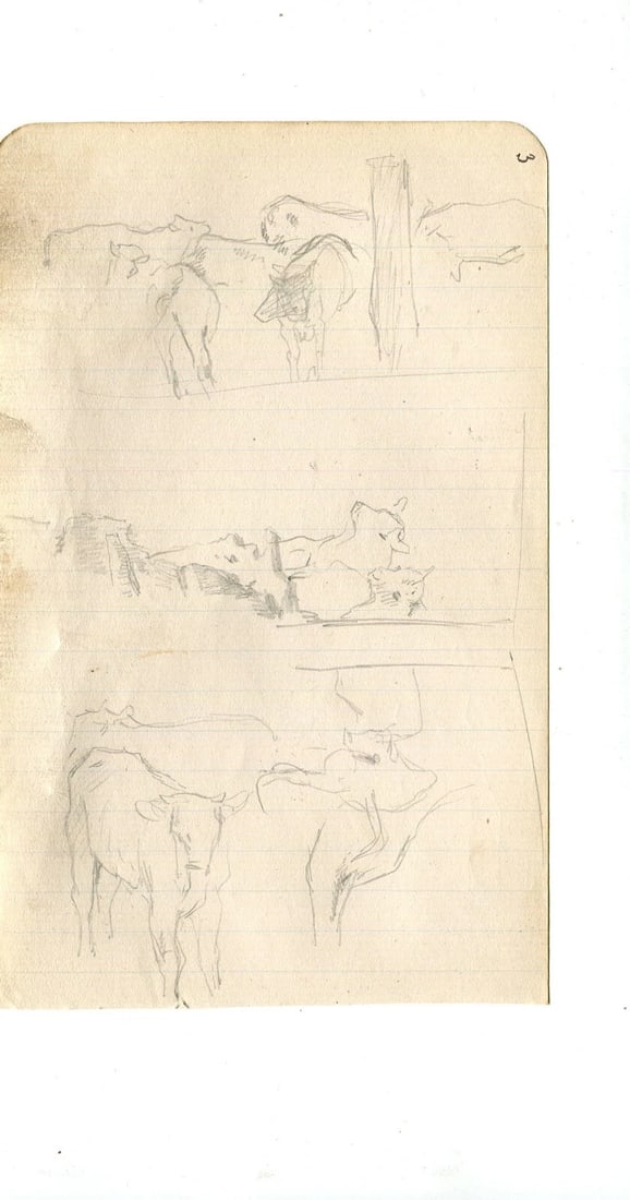 Cows and Cattle Drawing Vintage Pencil Original Sketch Artwork - 2