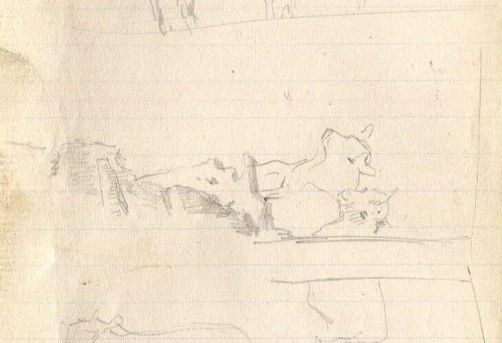 Cows and Cattle Drawing Vintage Pencil Original Sketch Artwork - 3