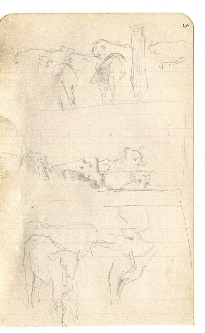 Cows and Cattle Drawing Vintage Pencil Original Sketch Artwork - 6