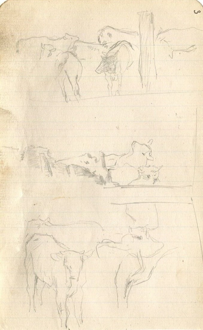 Cows and Cattle Drawing Vintage Pencil Original Sketch Artwork - 7