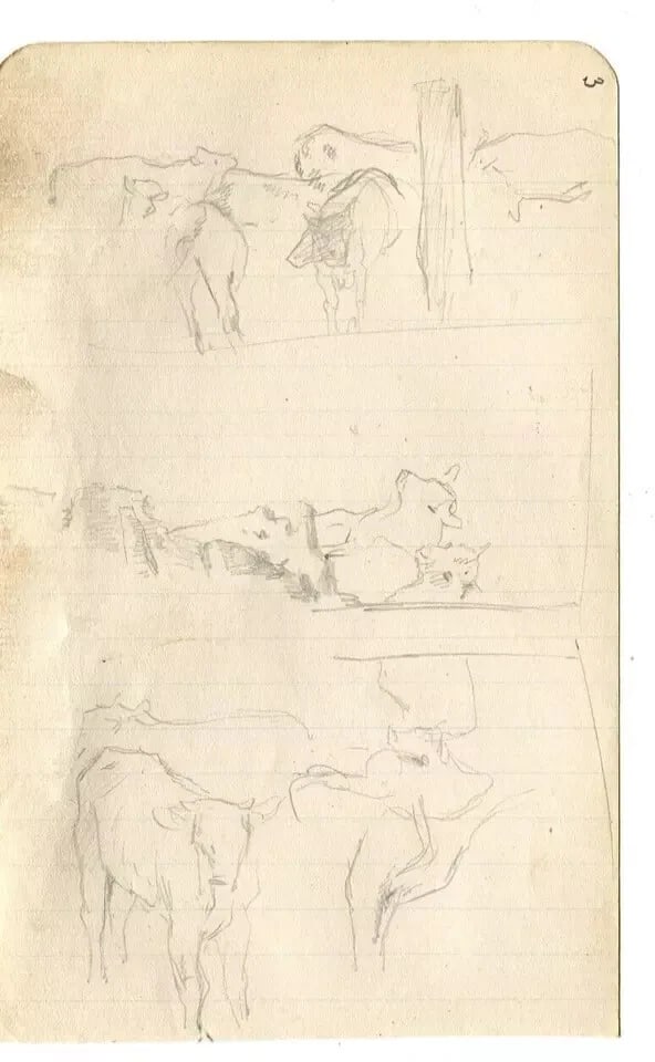 Cows and Cattle Drawing Vintage Pencil Original Sketch Artwork - 8