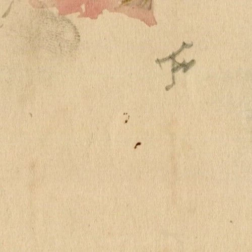 Antique Drawing Pencil Original Young Girl Portrait with Curly Blond Hair - 7