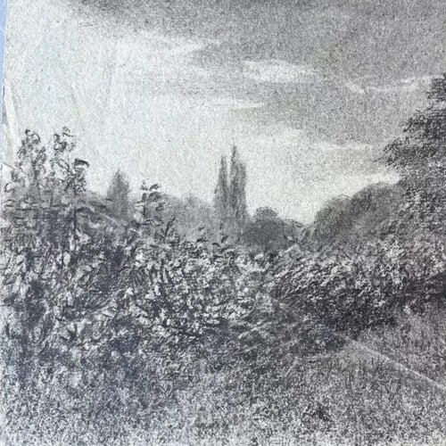 Antique Original Drawing Mountain Landscape, Trees, Forest - 3