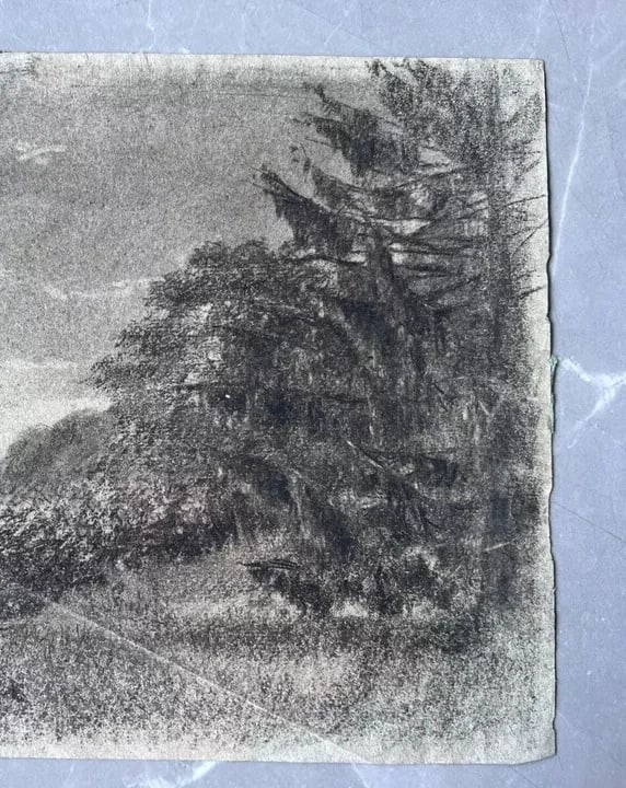 Antique Original Drawing Mountain Landscape, Trees, Forest - 6