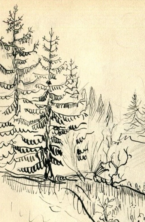 Mountain, Trees, Landscape, Forest - Drawing Vintage Ink Original Artwork - 3