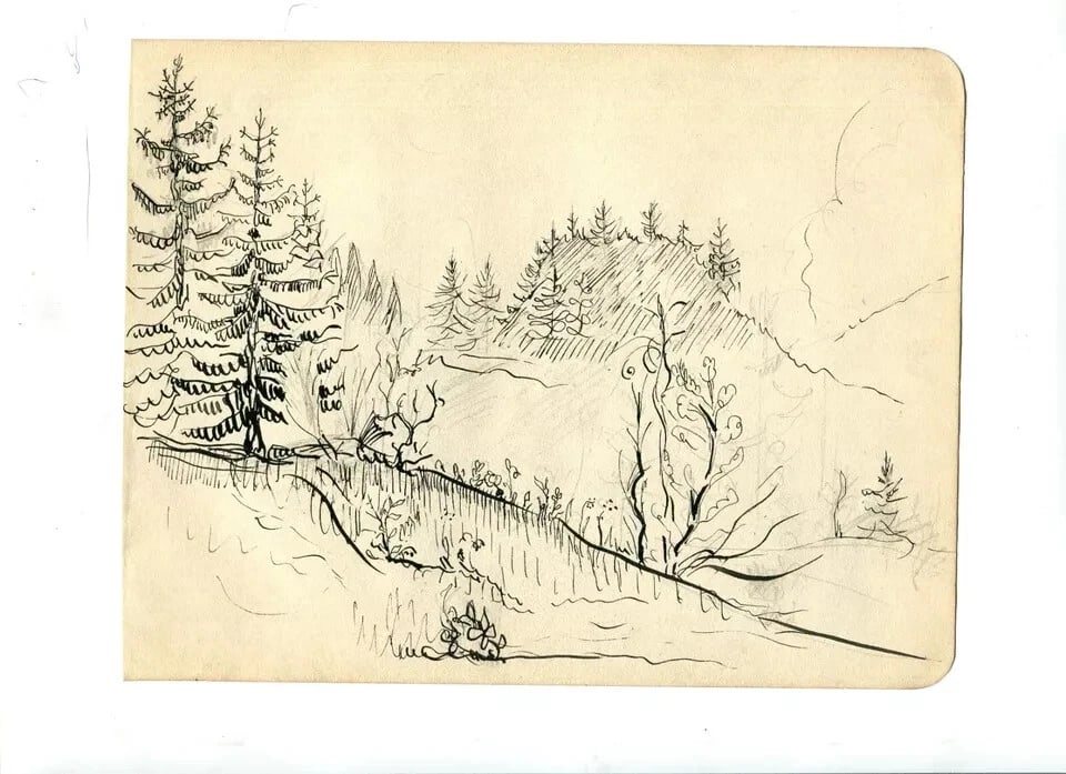 Mountain, Trees, Landscape, Forest - Drawing Vintage Ink Original Artwork - 8