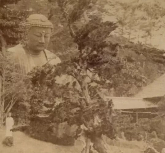 Antique CDV Photographs Asian Landscape Boudha and People - 5