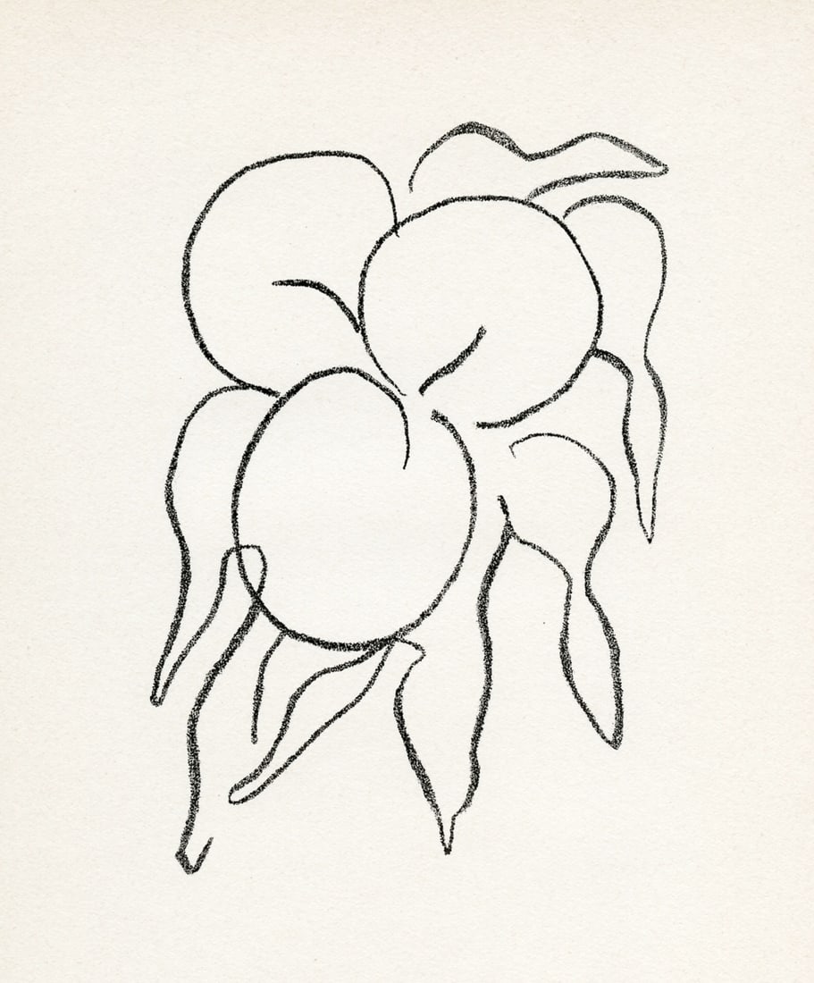 Henri Matisse original lithograph "Fruits": Title: Henri Matisse original lithograph "Fruits" Description: Medium: original lithograph. Printed in Paris in 1964 by Mourlot Frères and published in an edition of 2000 on Arches wove paper. Image