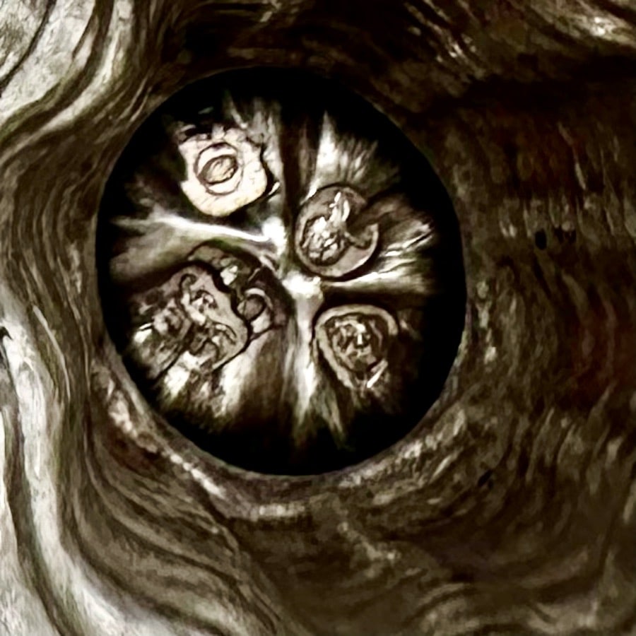 Early 19th Century Antique George IV Silver Wine Jug London 1829 Charles Fox - 8