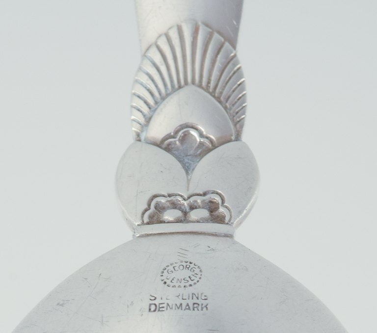 Georg Jensen Cactus. Jam spoon in sterling silver. - 4
