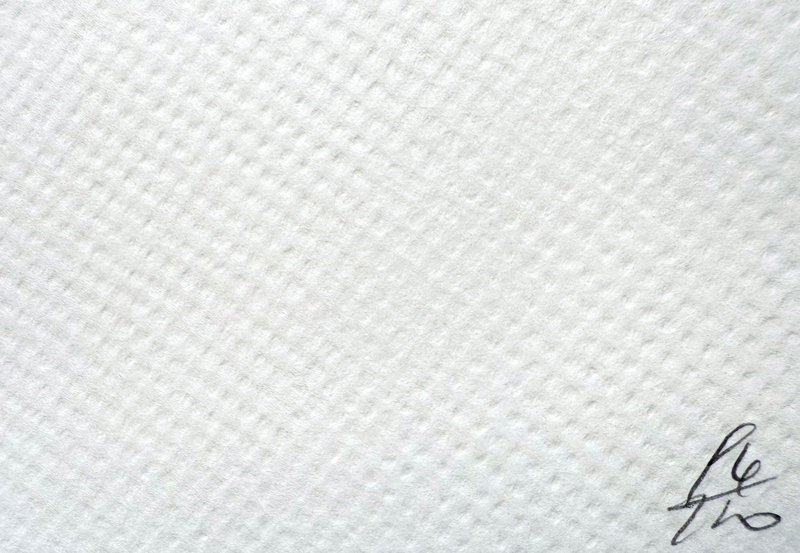 Death NYC Queen Birkin - 3