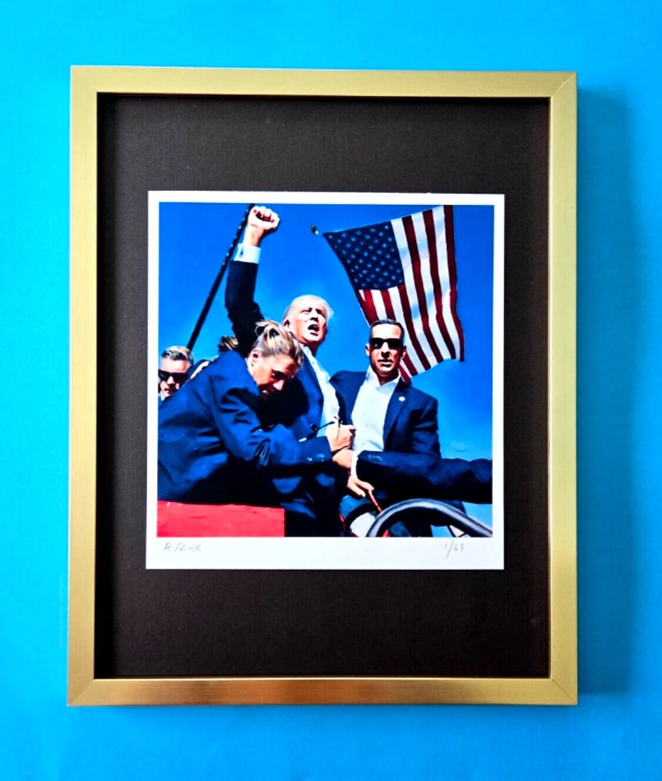 AIDAN FLUX | Hand Signed Original Print Framed LtdEdof69 COA DONALD TRUMP FIGHT: This is a Stunning and Scarce 100% Authentic New Print by Aidan Flux AIDAN Flux represents a new wave of artists who embrace technology as a partner in creation, crafting works that resonate with the