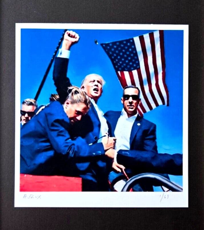 AIDAN FLUX | Hand Signed Original Print Framed LtdEdof69 COA DONALD TRUMP FIGHT - 2