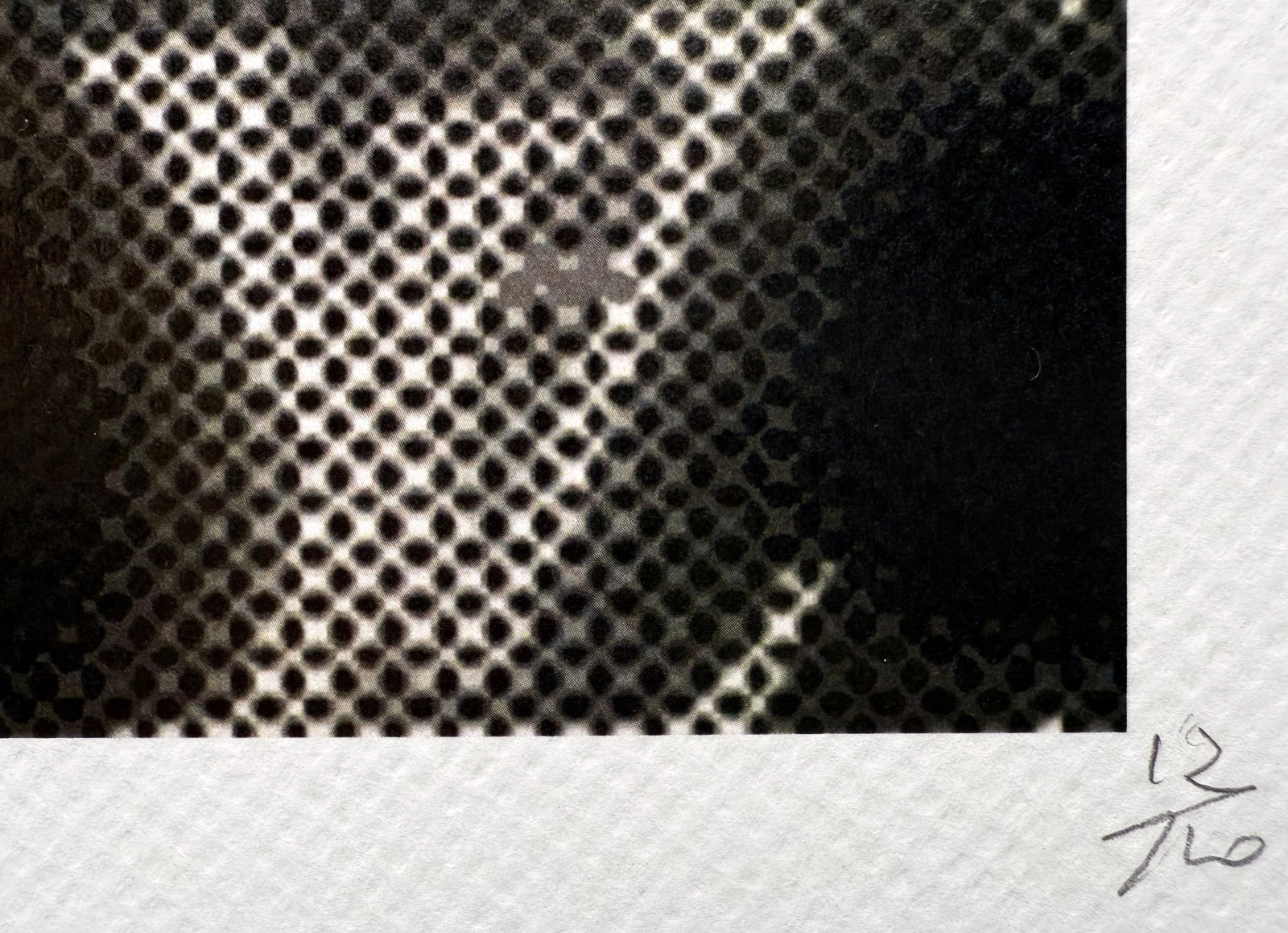 Death NYC Balenciaga Simpson LV - 3