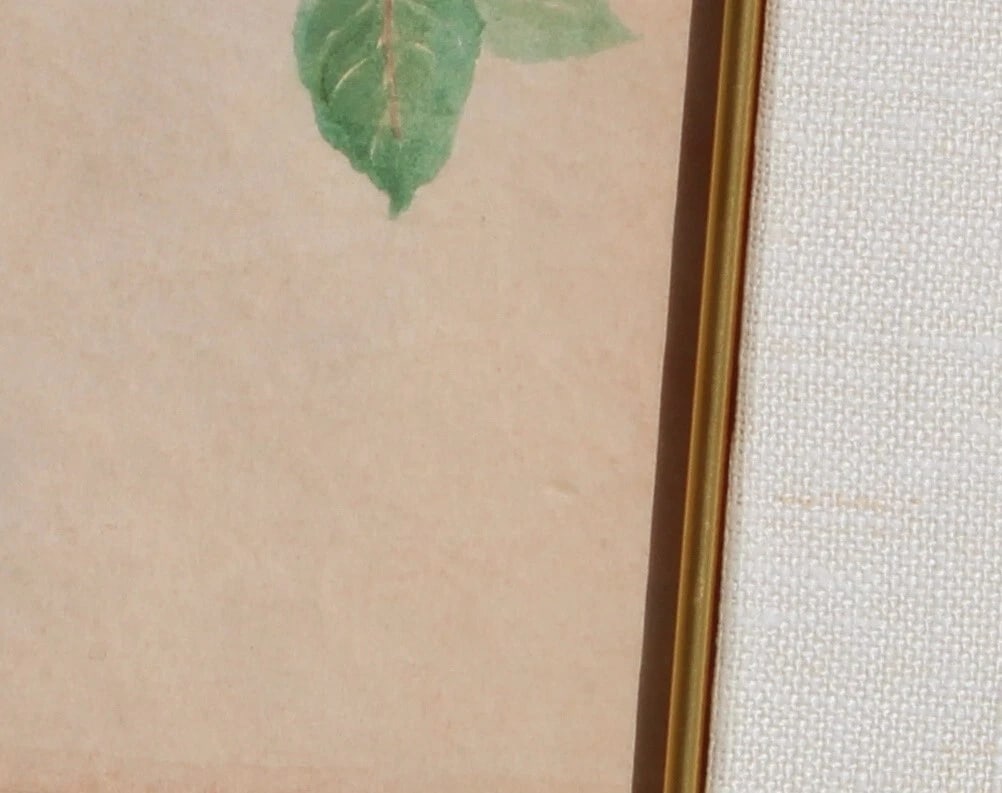 Vintage watercolor Butterflies and a Vase of Roses - 6