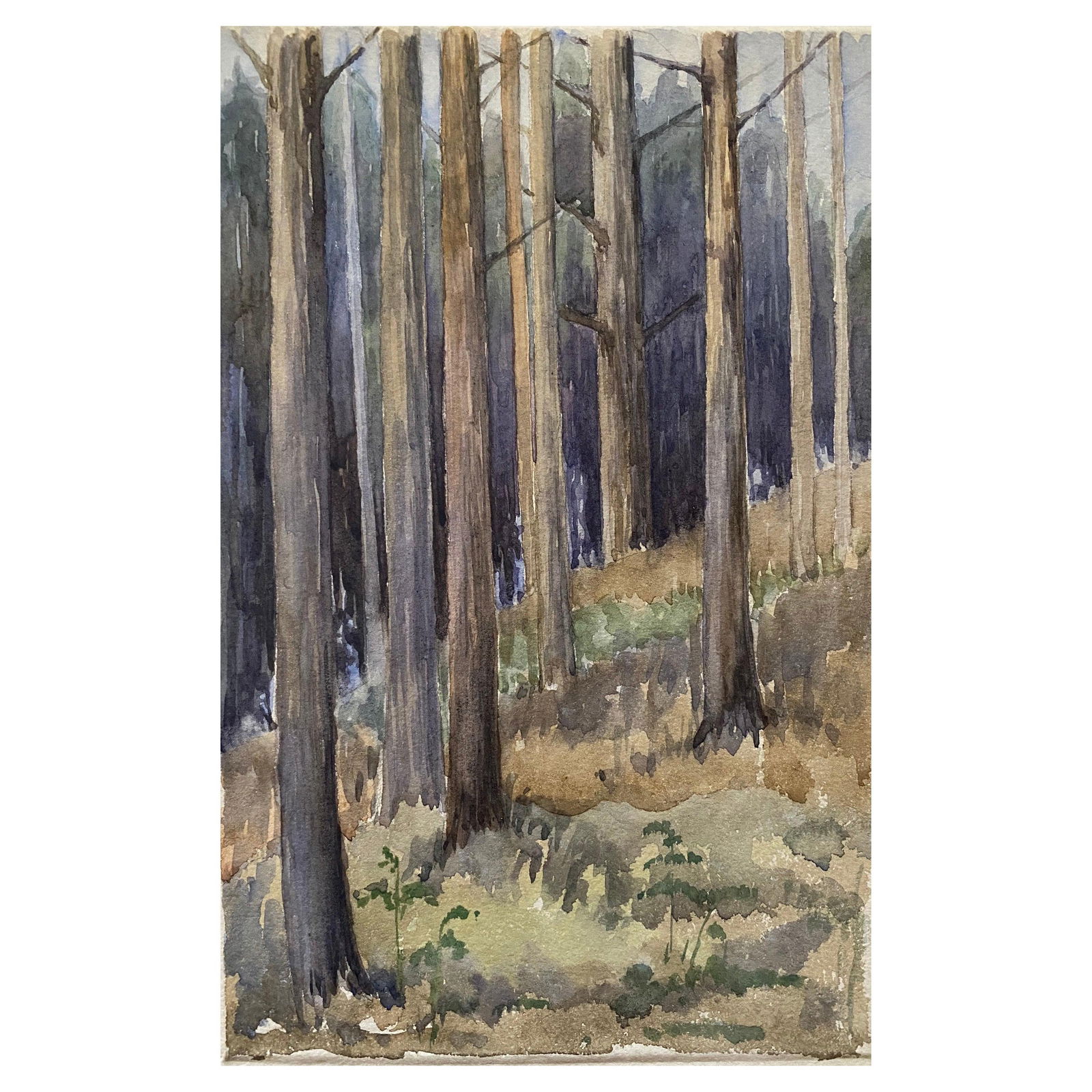 1900's English Impressionist Watercolor Painting Captivating Midnight Forest circa 1900s (1 of 6)