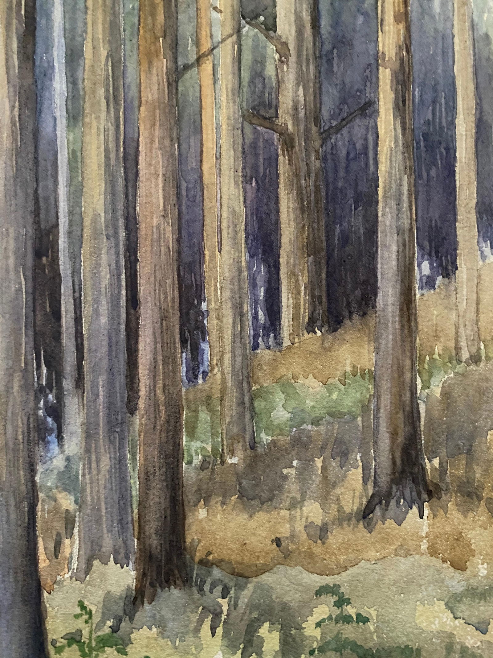 1900's English Impressionist Watercolor Painting Captivating Midnight Forest circa 1900s - 4
