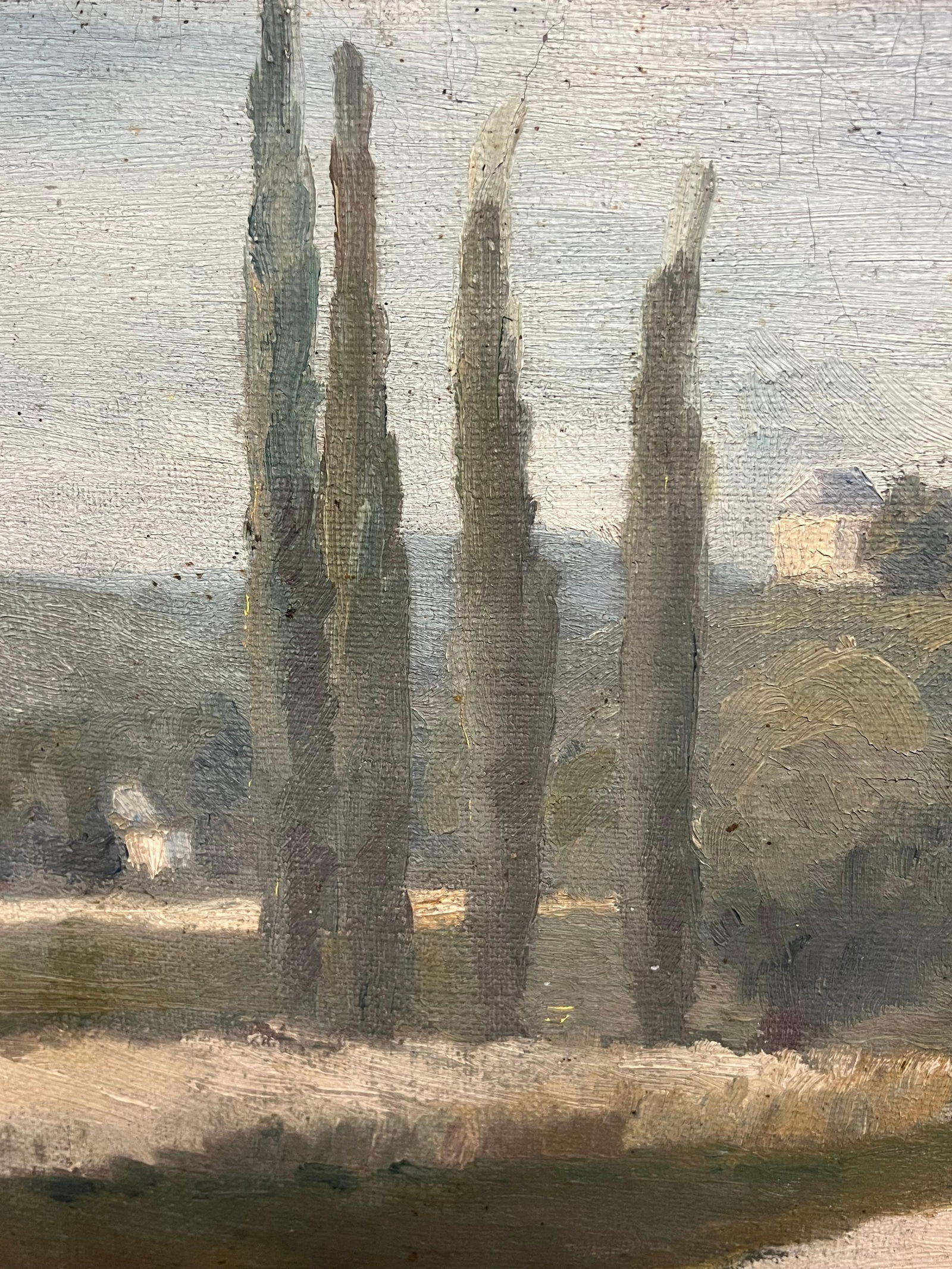 1930's Atmospheric French Provencal Countryside Landscape Cypress Trees in Lane 1930's - 6