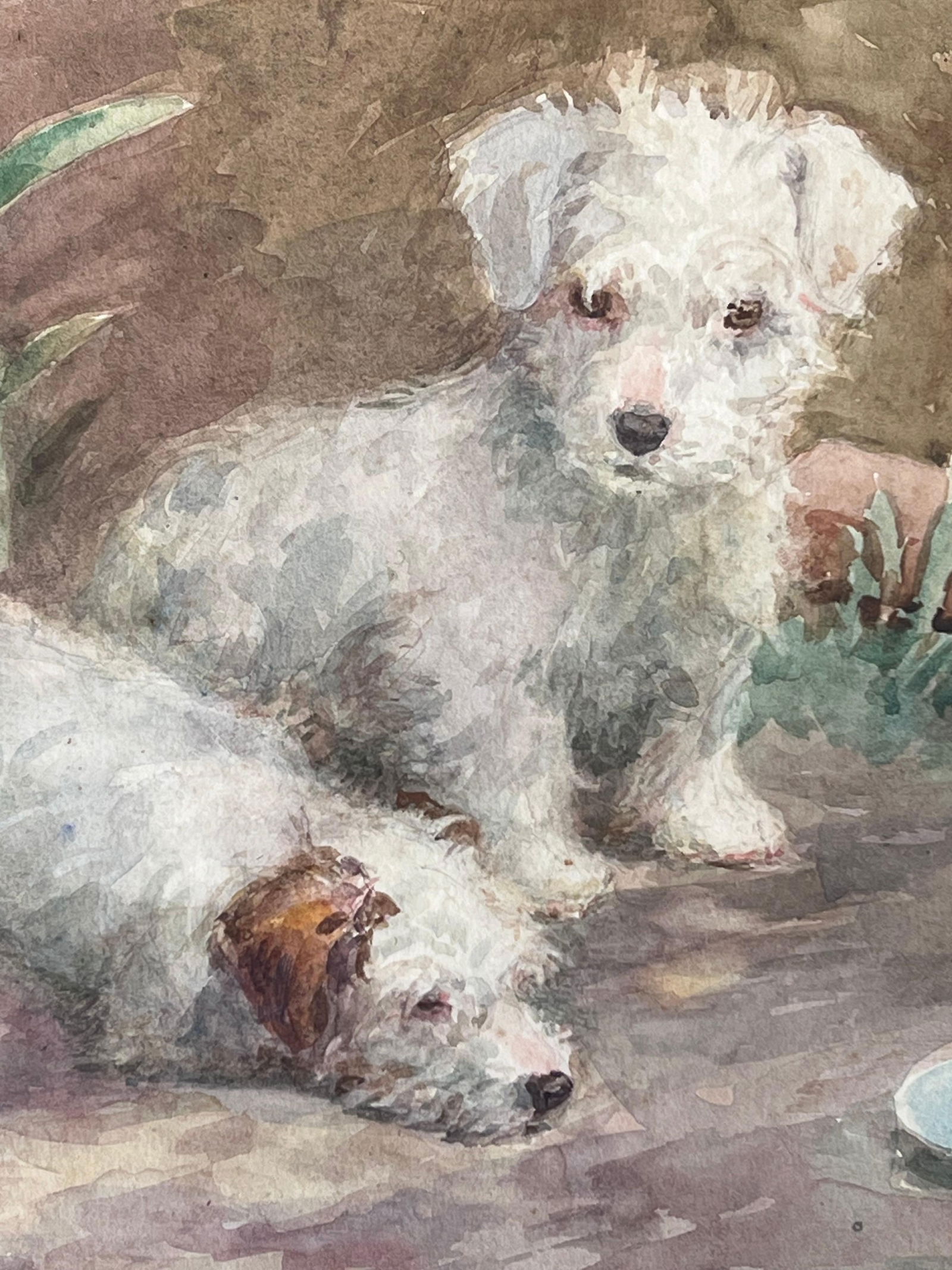 1930's English Dog Painting Wire Fox Terrier Puppies Waiting to be Fed Signed 1936 - 6