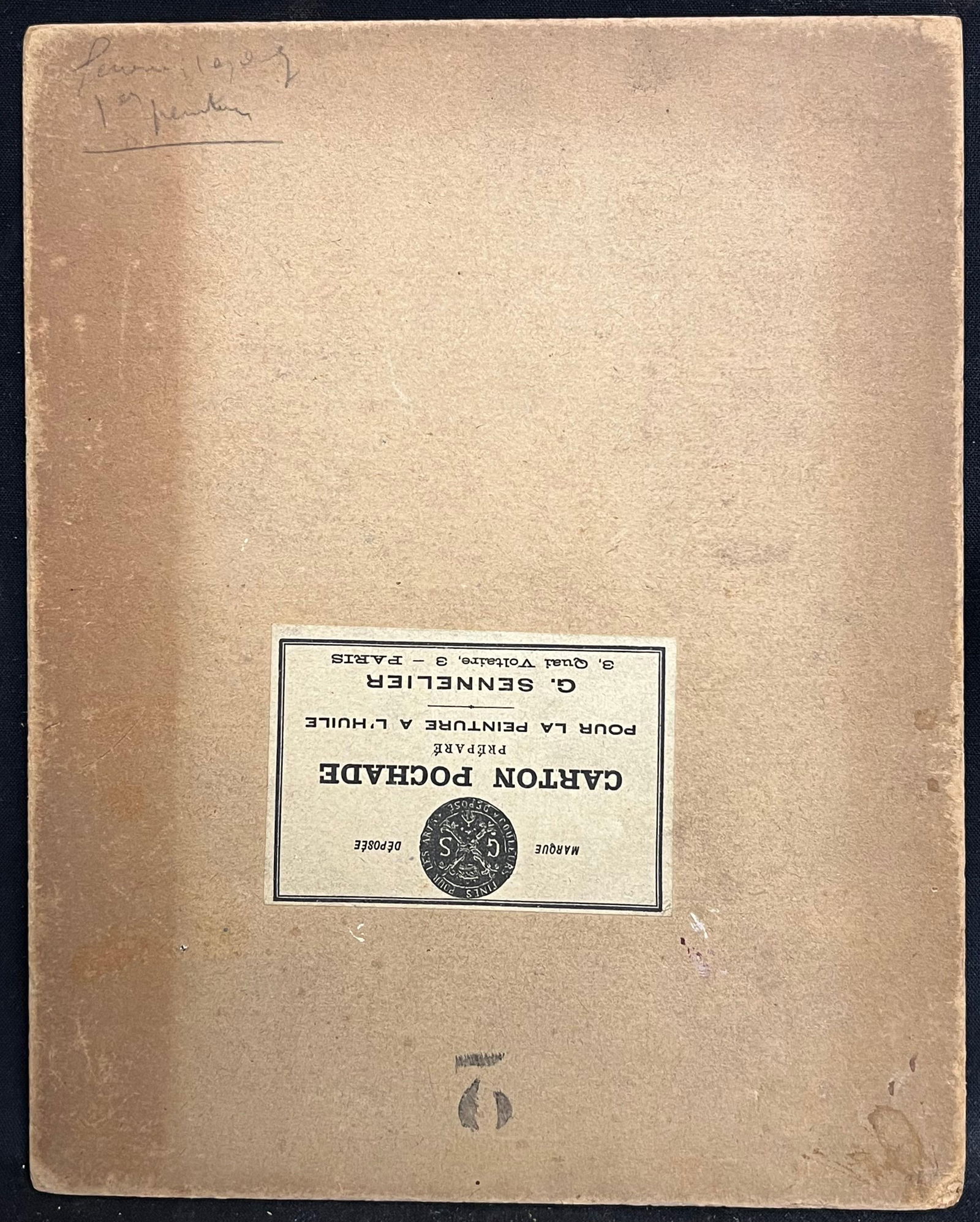 1930's Interior Still Life with Potted Plant and Draped Fabric on Ornate Chair 19th Century - 7