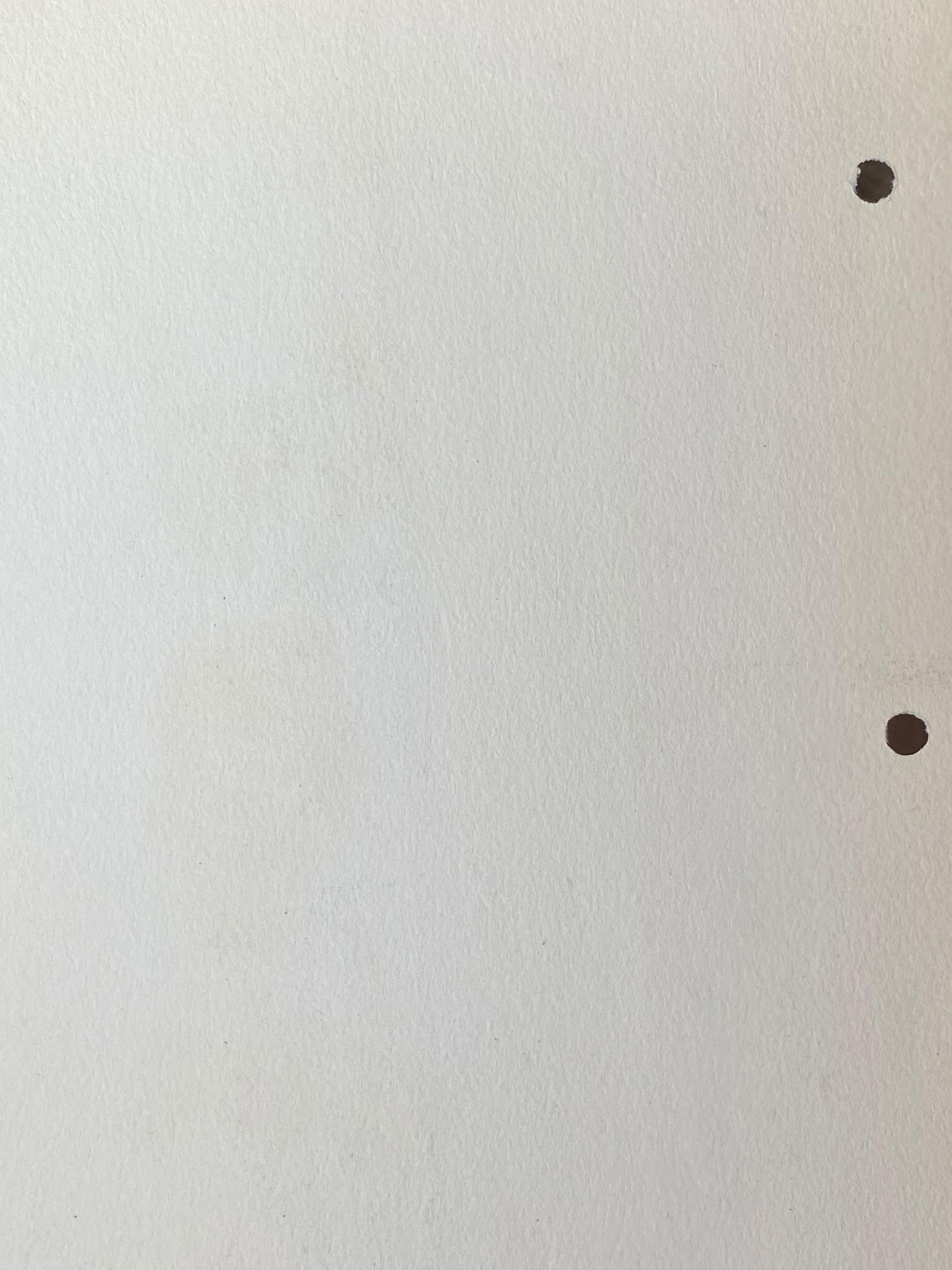 1930's Original Parisian Fashion Watercolor Burgandy Dress with Green Cape circa 1930s - 7