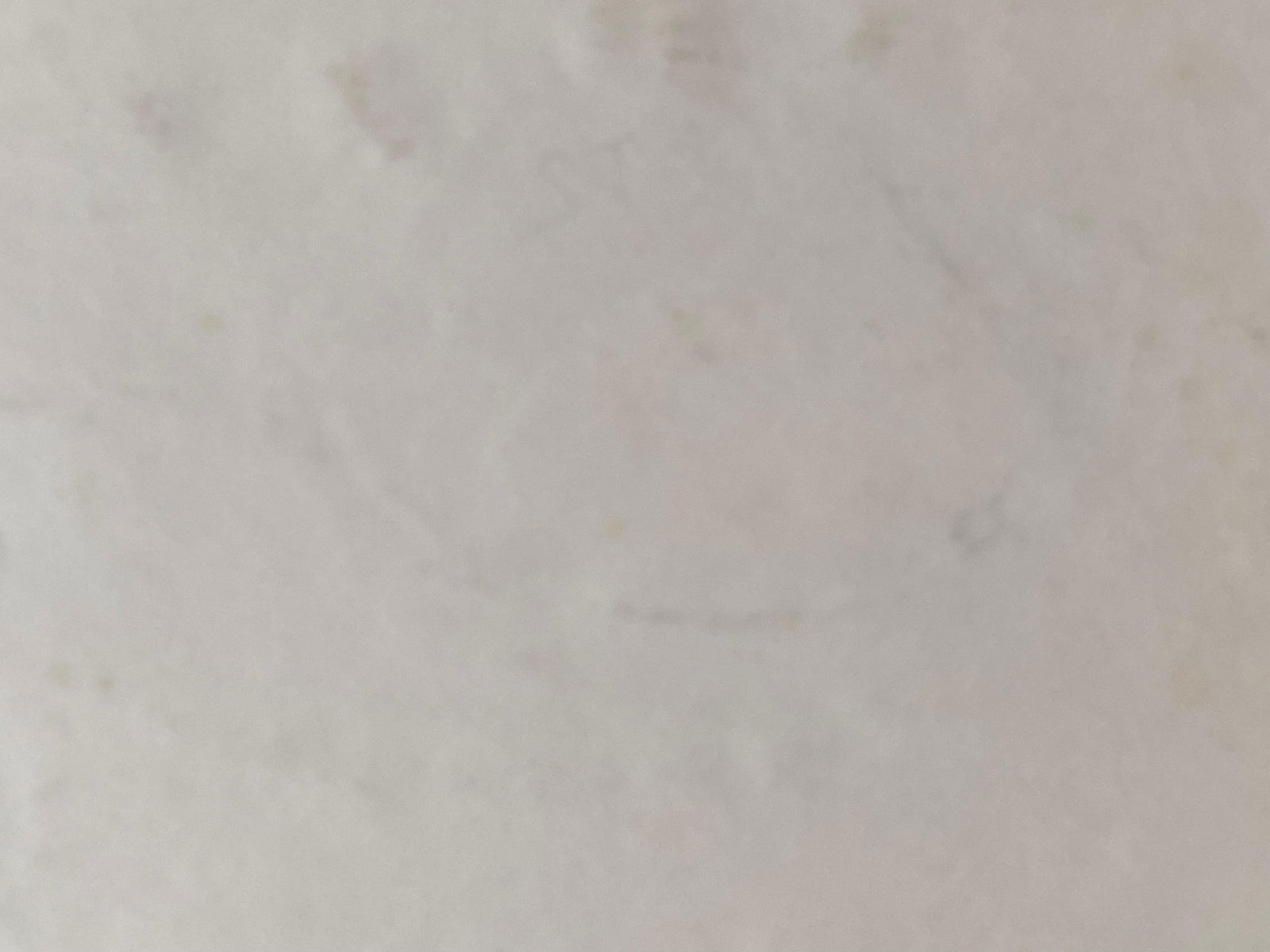 1940's French Fruit Still Life, Post Impressionist Artist circa 1940s - 3