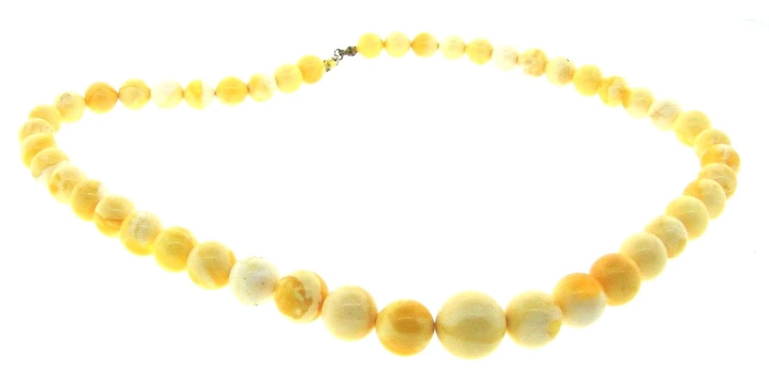 CHIC Baltic Amber Necklace (1 of 2)