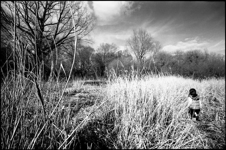 Girl in Grass Clearing, Thorndon, Suffolk - Silver Gelatin (1 of 3)
