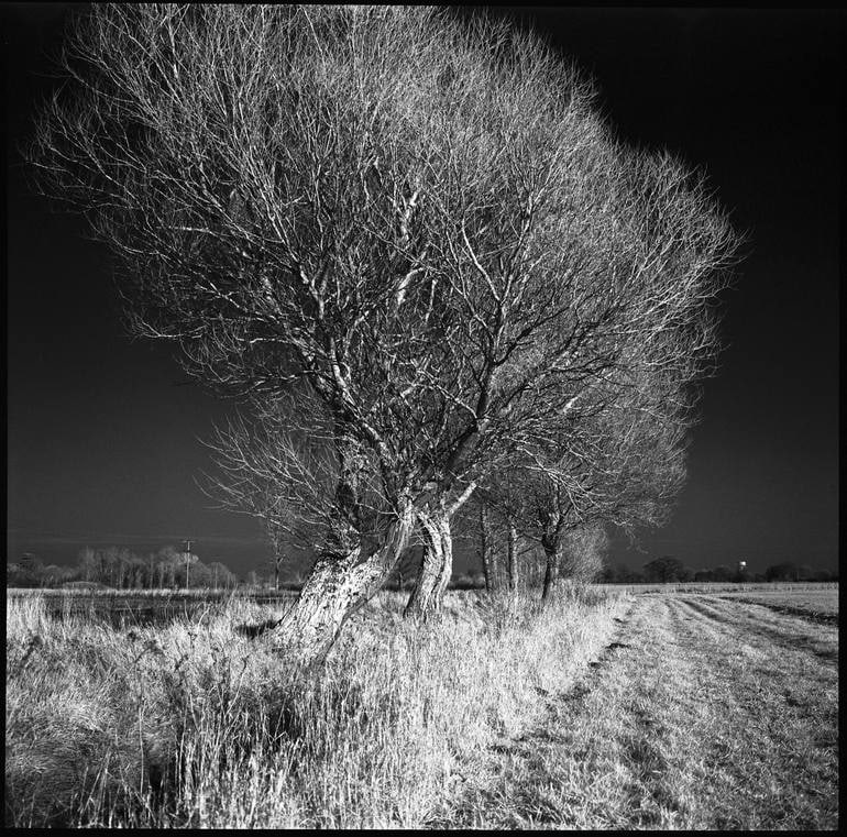 Edition 2/10 - West Thorpe IV, Suffolk [IR Film] - Silver Gelatin (1 of 3)