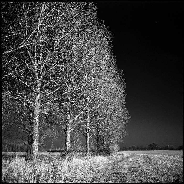 West Thorpe I, Suffolk [Infrared Film] - Silver Gelatin: Title: West Thorpe I, Suffolk [Infrared Film] - Silver Gelatin Description: Title: West Thorpe I, Suffolk [Infrared Film] - Silver Gelatin Photograph - Limited Edition of 10Artist: Paul