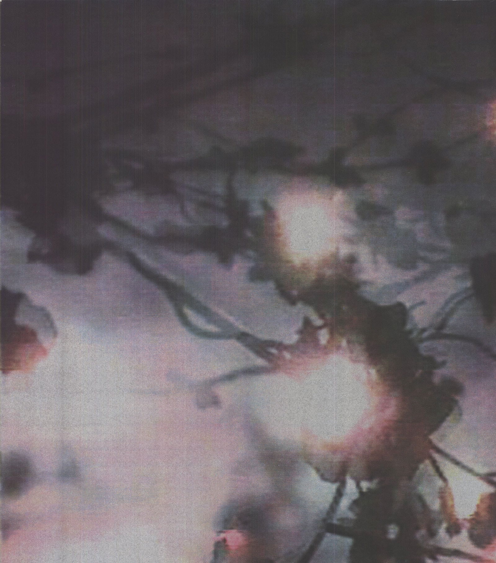 Ena Swansea - American Dance Festival 1999 - 1999 Serigraph 42.5" x 30" - 2