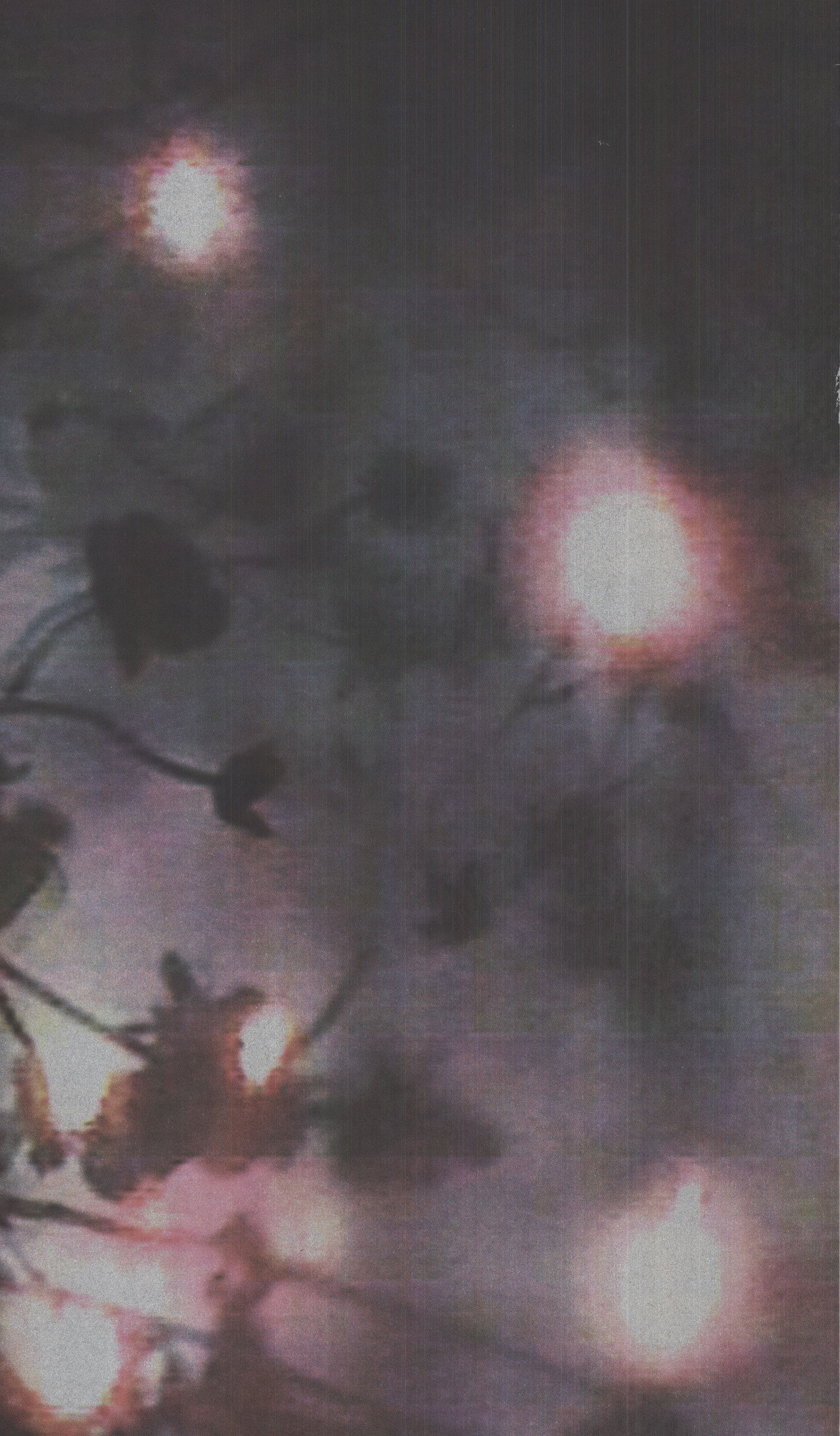 Ena Swansea - American Dance Festival 1999 - 1999 Serigraph 42.5" x 30" - 4