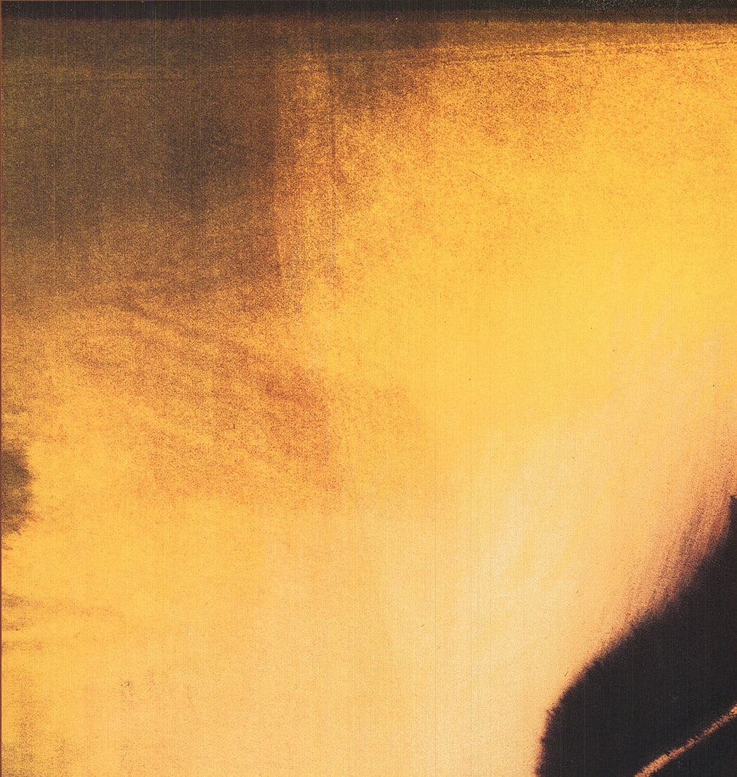 Ross Bleckner - Unity '94 - 1994 Offset Lithograph 34" x 24" - 3