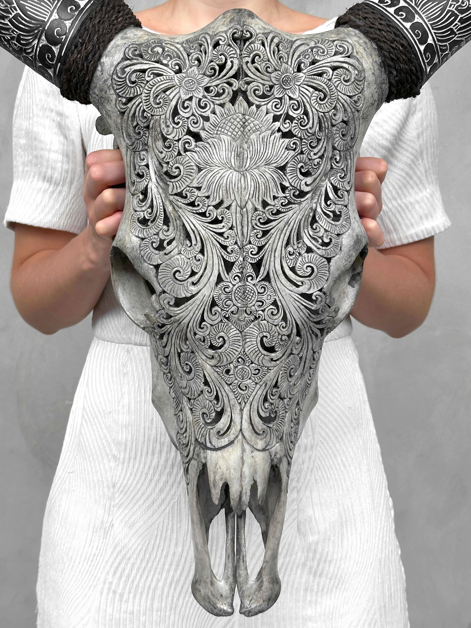 Carved cow skull with carved horns - Lotus motif: Title: Carved cow skull with carved horns - Lotus motifMaker:UnknownOrigin: IndonesiaDate/Period:2025Materials:Bos Taurus, Bone, Horn Dimensions:Height: 57 cm / 22.4 inches Width: 66 cm / 25.9