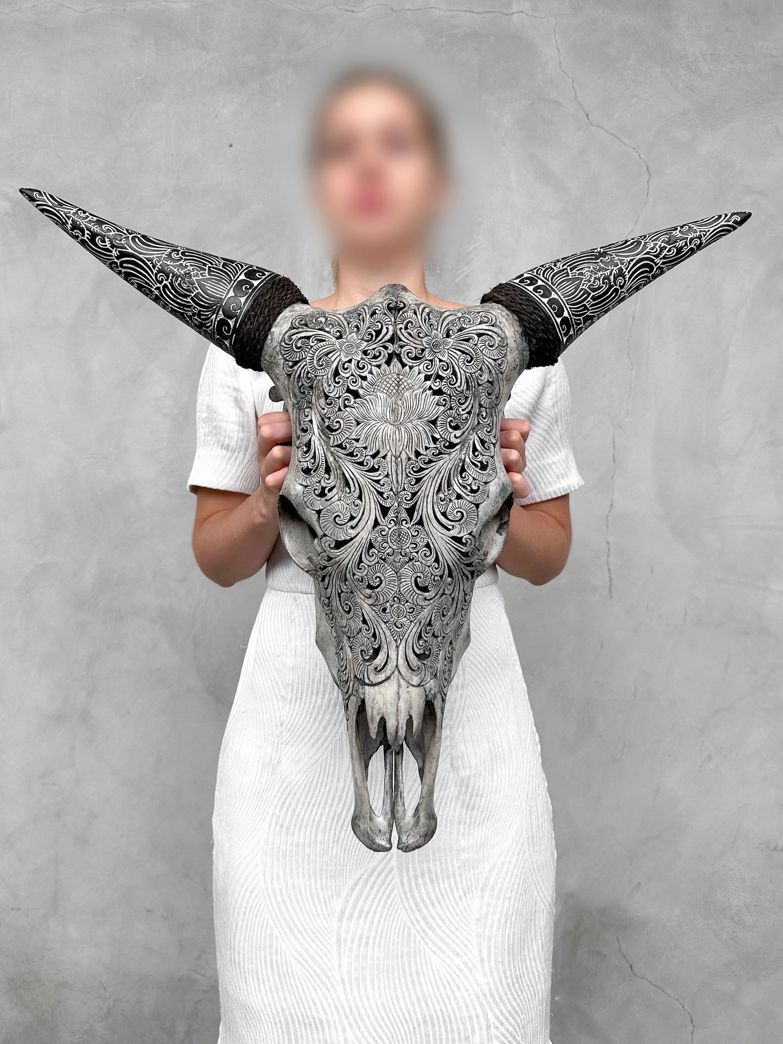 Carved cow skull with carved horns - Lotus motif - 2