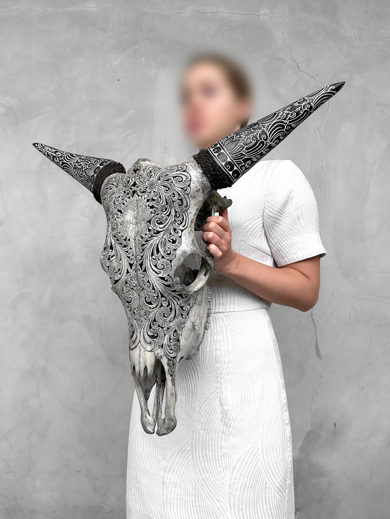 Carved cow skull with carved horns - Lotus motif - 3