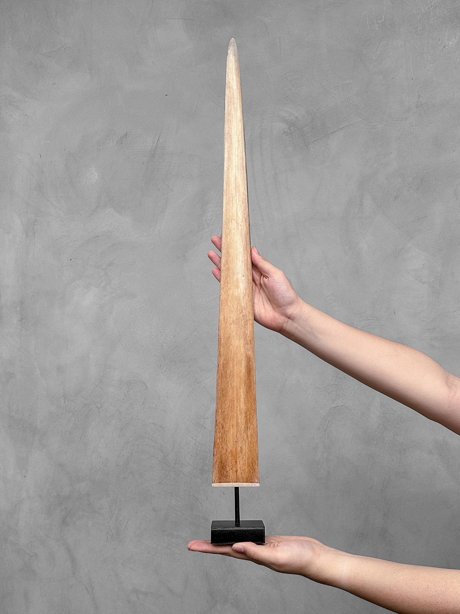 Swordfish tusk with stand (1 of 10)