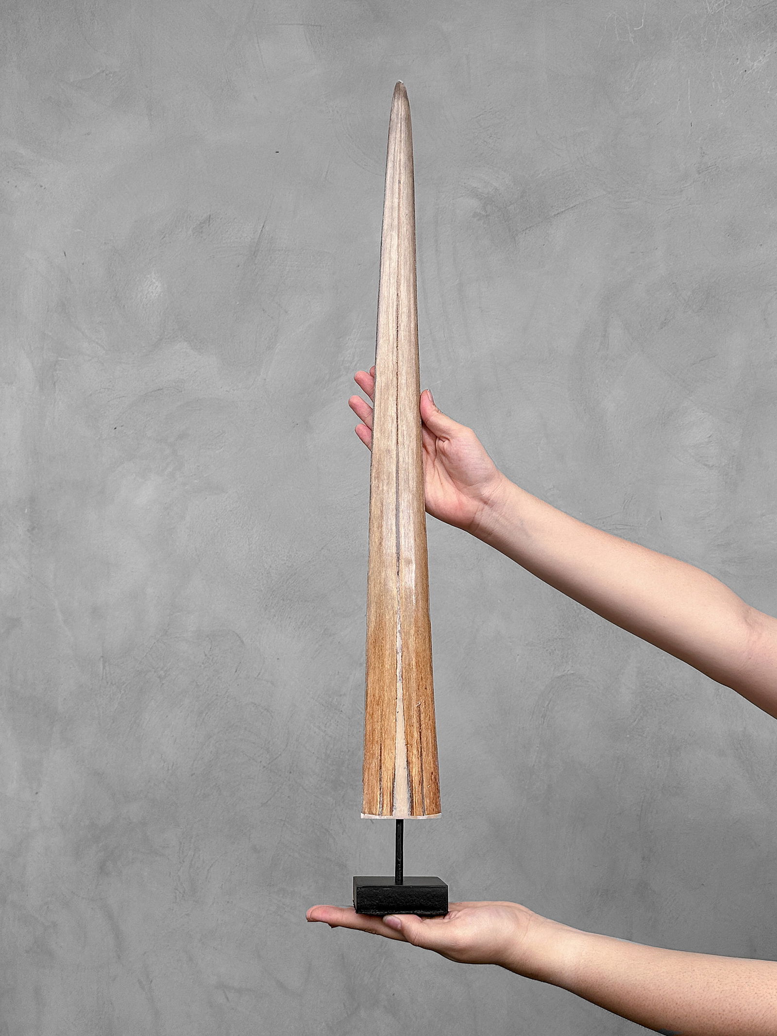 Swordfish tusk with stand - 2