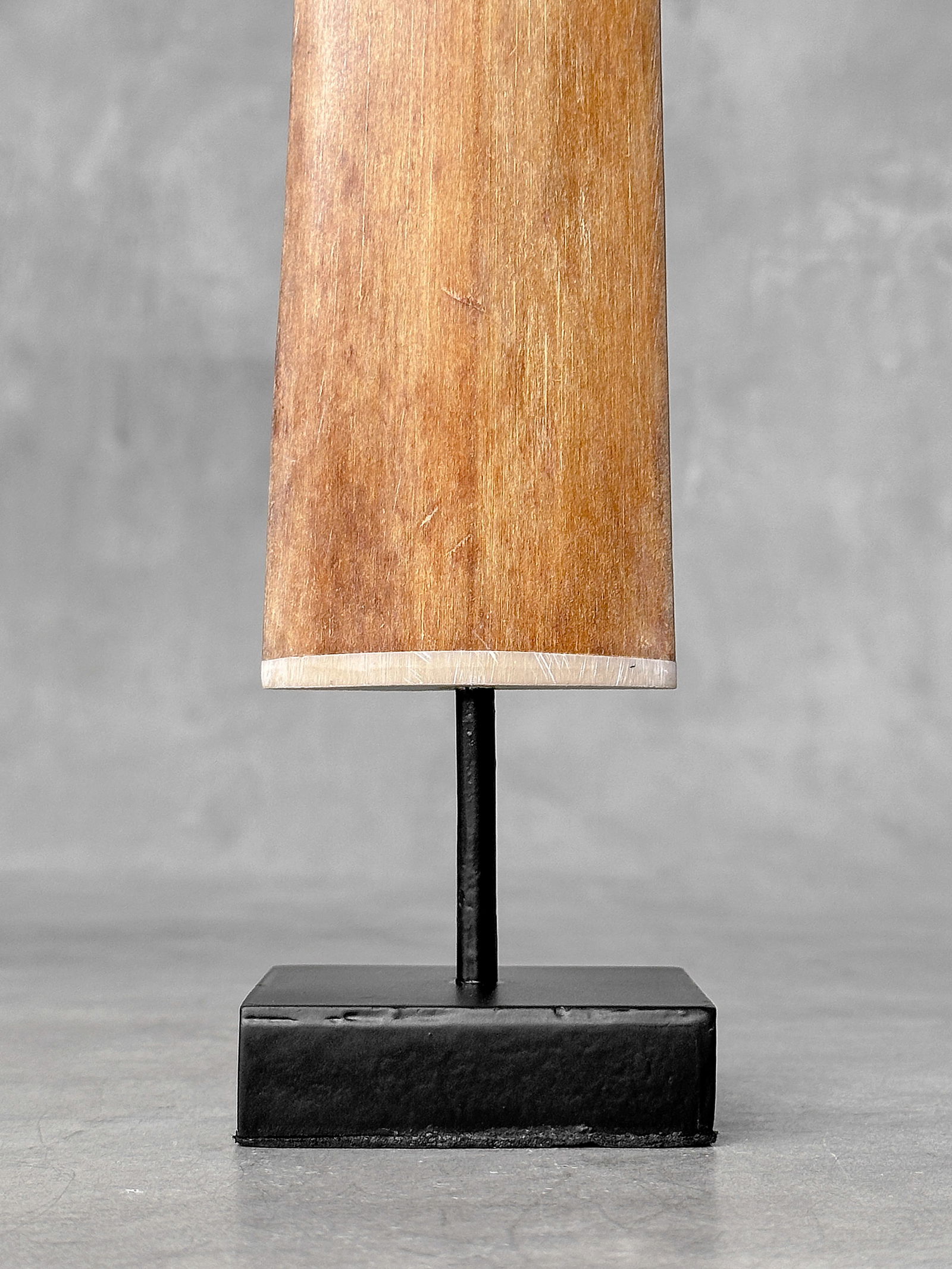 Swordfish tusk with stand - 4