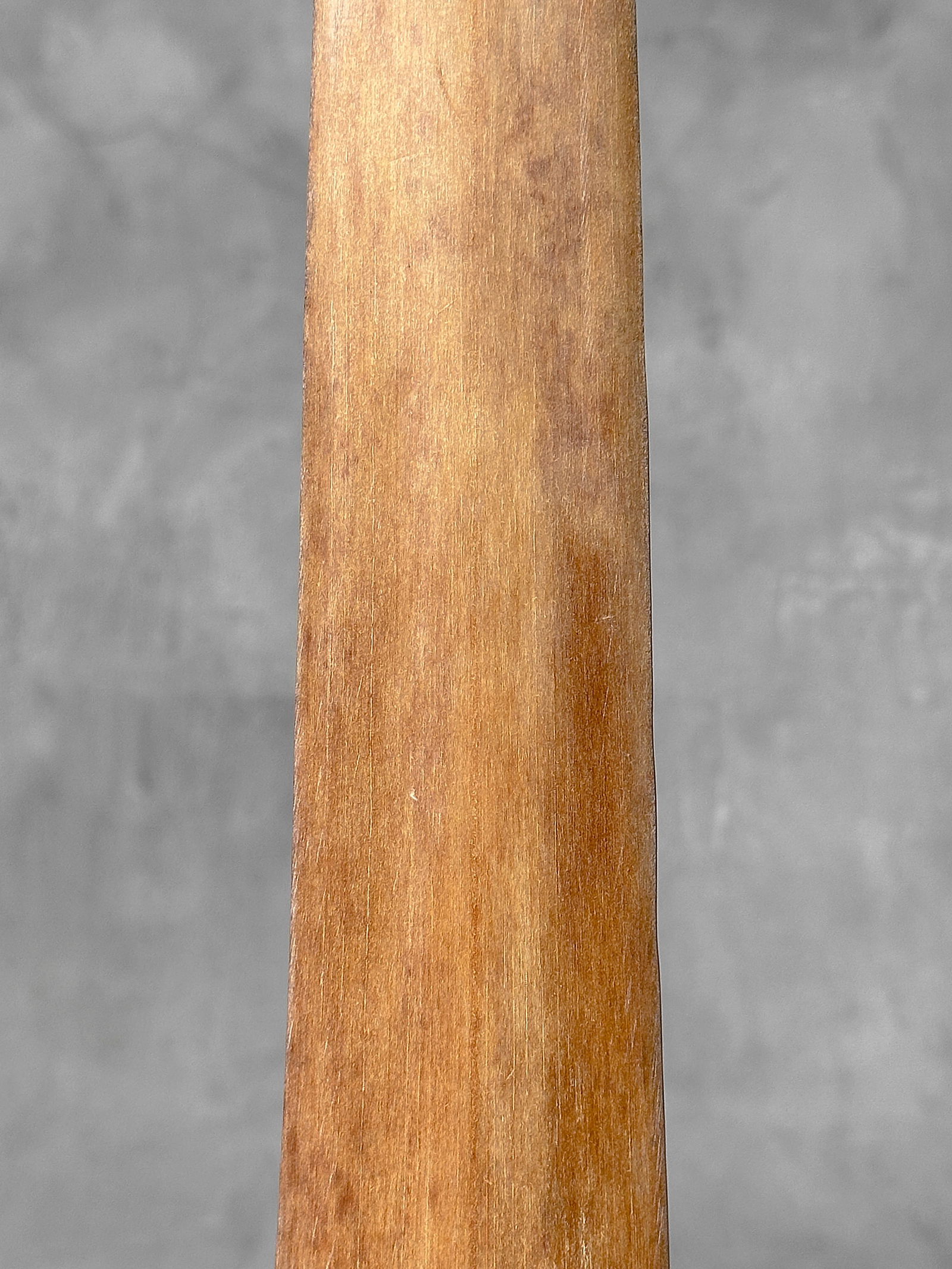 Swordfish tusk with stand - 5