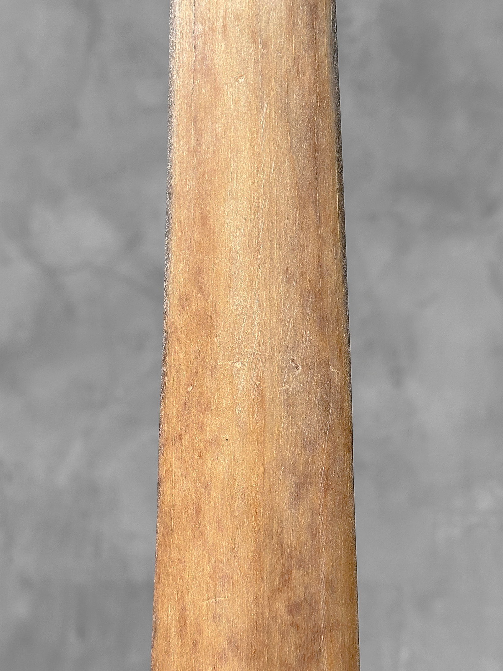 Swordfish tusk with stand - 6