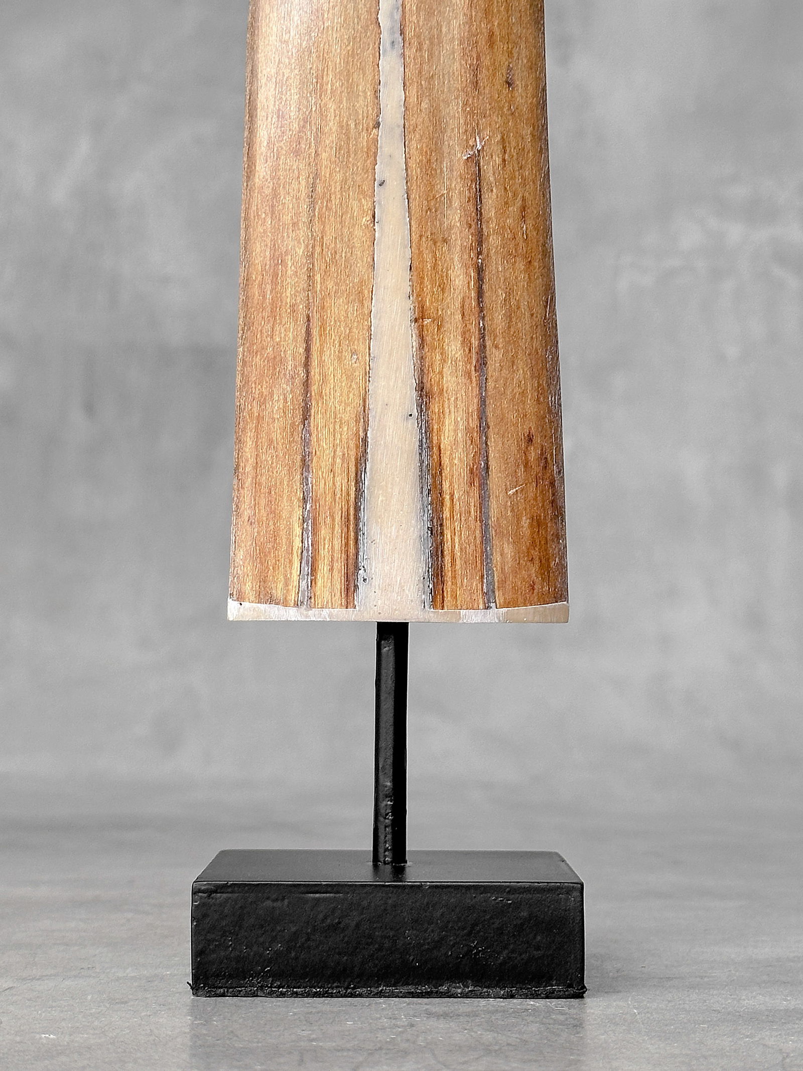 Swordfish tusk with stand - 9