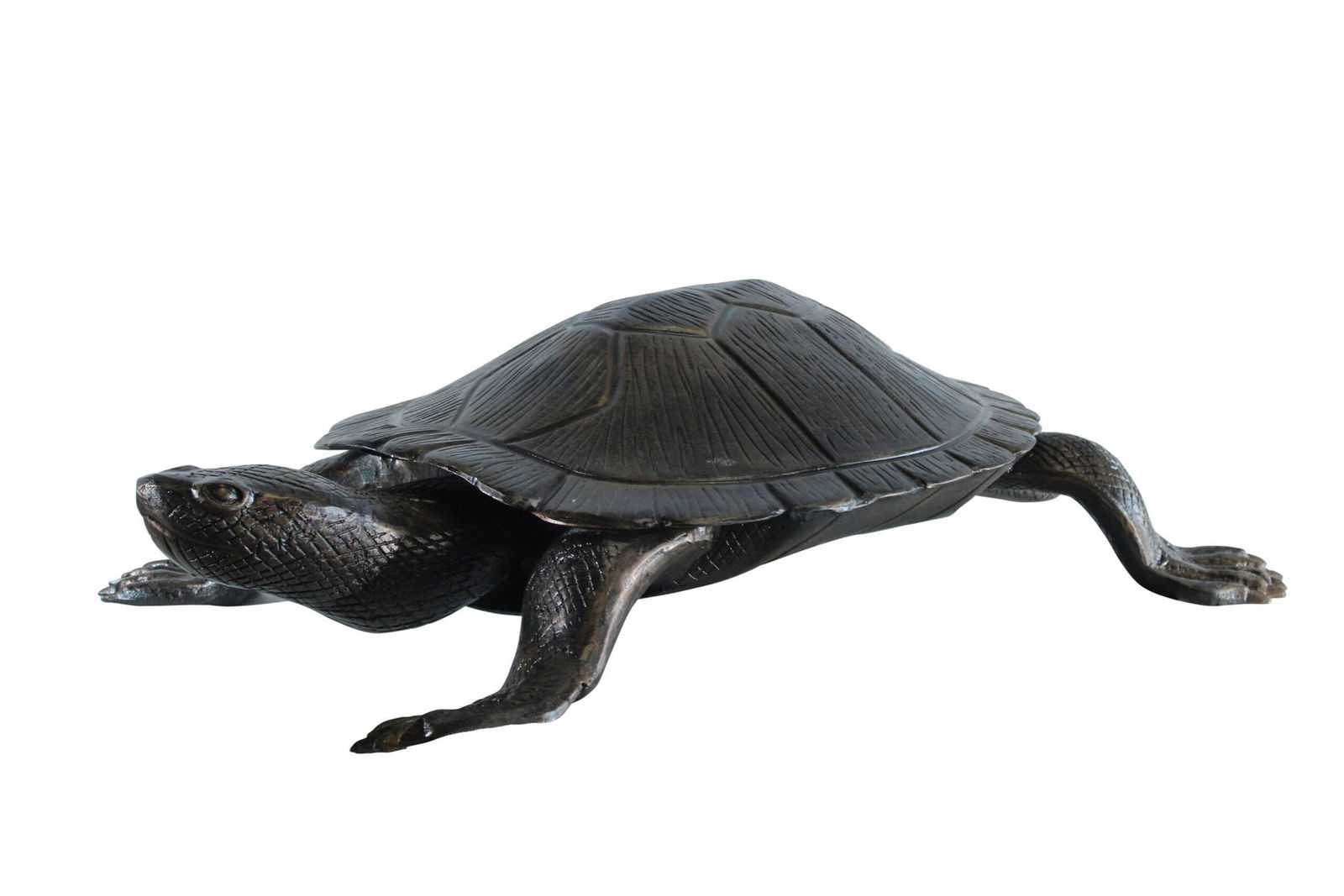Aluminum Cooter Turtle Statue - Realistic Crawling Pose Bronze Finish Sculpture for Garden, Pond, or (1 of 12)