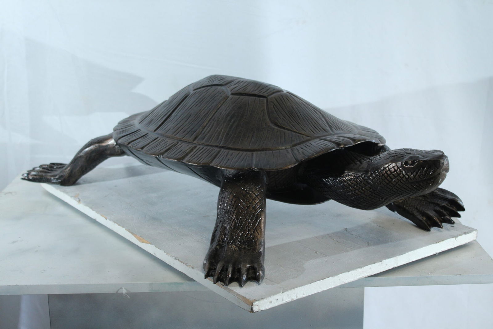 Aluminum Cooter Turtle Statue - Realistic Crawling Pose Bronze Finish Sculpture for Garden, Pond, or - 4