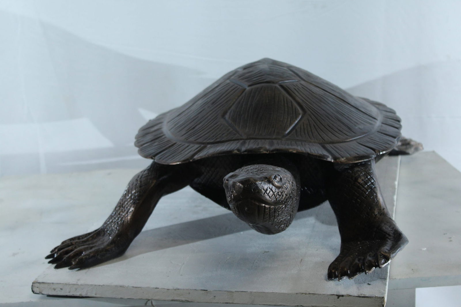 Aluminum Cooter Turtle Statue - Realistic Crawling Pose Bronze Finish Sculpture for Garden, Pond, or - 5