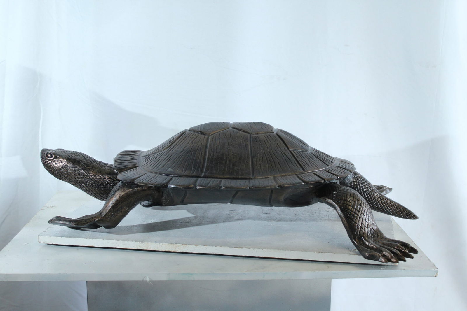 Aluminum Cooter Turtle Statue - Realistic Crawling Pose Bronze Finish Sculpture for Garden, Pond, or - 6