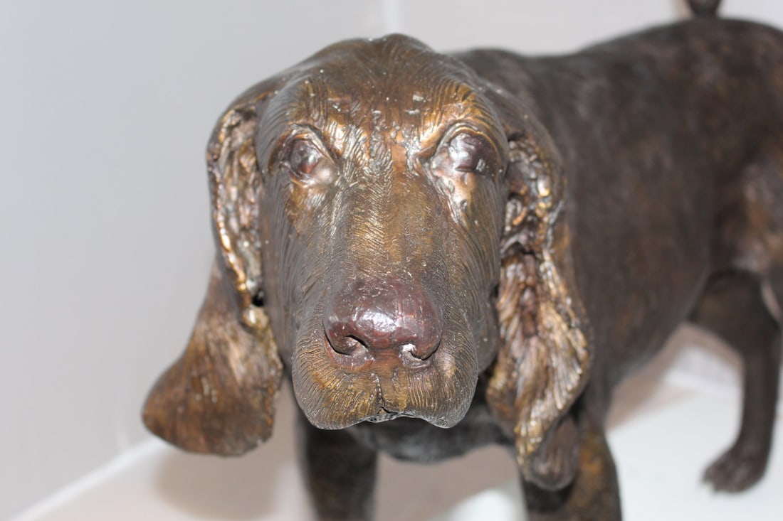 Hound dog Bronze Statue - Size: 38"L x 12"W x 26"H. - 11