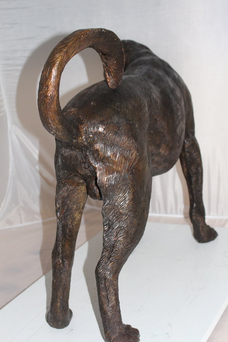 Hound dog Bronze Statue - Size: 38"L x 12"W x 26"H. - 7
